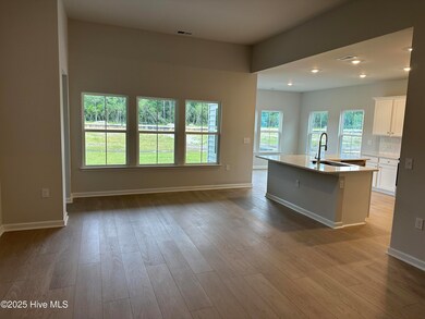 3333 SW Wood Stork Dr unit Litchfield Ii Lot 85, Ocean Isle Beach, NC 28469 - photo 6