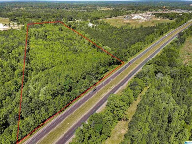 1912 Lay Dam Rd, Clanton, AL 35045 - photo 4