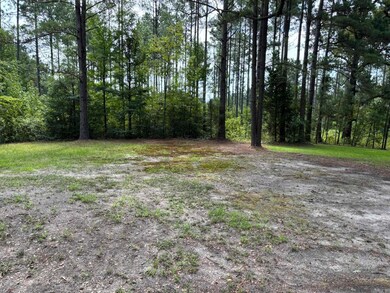 795 Ouachita 12, Chidester, AR 71726 - photo 5