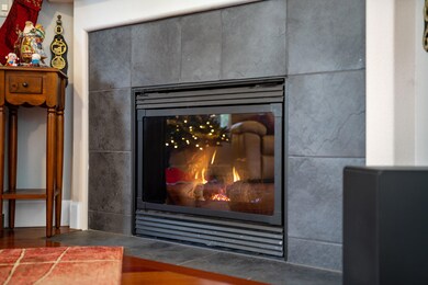 Gas Fire Place