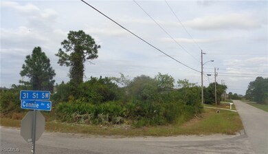 2516 31st St SW, Lehigh Acres, FL 33976 - photo 7