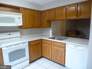 6023 Rowanberry Dr, Elkridge, MD 21075 - photo 5