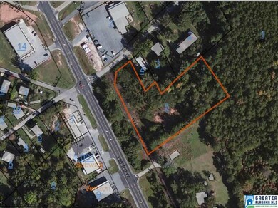 2.5 +/- Acres Highway 431 unit 5, Roanoke, AL 36274 - photo 6