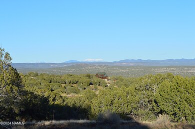 9908 Gleed Station Rd unit 187, Ash Fork, AZ 86320 - photo 4