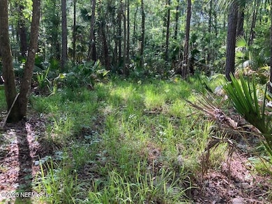 0220 Little Branch Tr, Interlachen, FL 32148 - photo 3