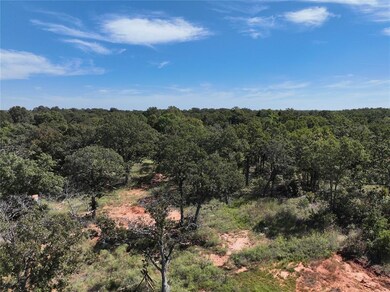 View of local wilderness