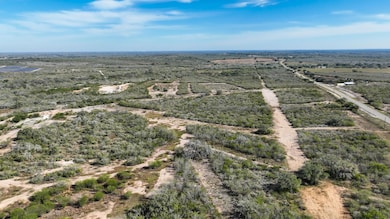 County Road 124, Kenedy, TX 78119 - photo 6