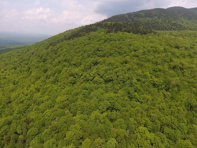 0 Bennett Rd, Kirby, VT 05832 - photo 6