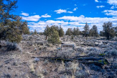 DJI_0465