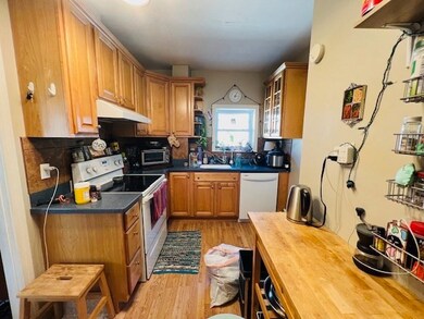 9 Rice St unit 4, Brookline, MA 02445 - photo 4