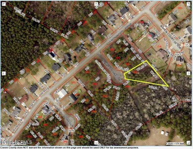 GIS Topo Map