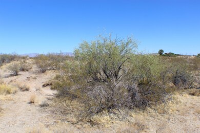 000 W Creosote Ln unit 5, Wickenburg, AZ 85390 - photo 4