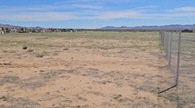 0 W Turkey Tract Rd unit 31261, Dolan Springs, AZ 86441 - photo 2