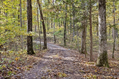 680 Rattlesnake Spring Rd, Sewanee, TN 37375 - photo 5