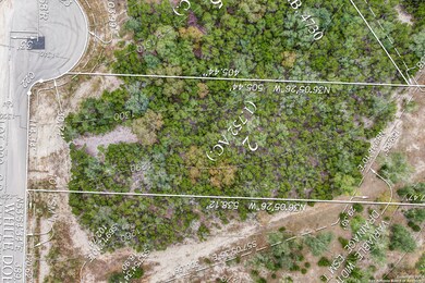 22311 White Doe Pass, San Antonio, TX 78255 - photo 6