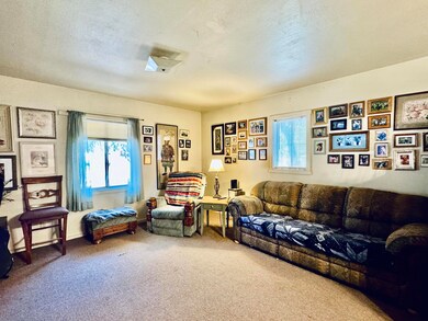 209 E Wade Ln, Payson, AZ 85541 - photo 4