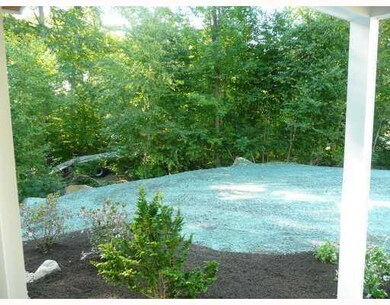 Yard/Garden.