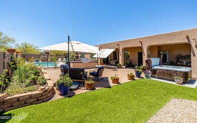 Beautiful Back Yard