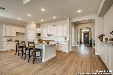 3915 Preserve Rise, San Antonio, TX 78261 - photo 3