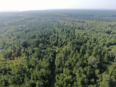 00 Hwy #32 Hwy #99 Tract 1, Brunswick, GA 31523 - photo 3