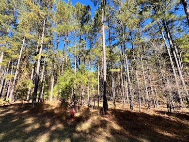 0 Mariners Way unit 549675, Lincolnton, GA 30817 - photo 4