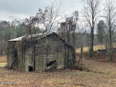 680 Bug Branch Rd, Del Rio, TN 37727 - photo 2