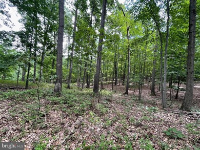 0 White Church Rd, Shippensburg, PA 17257 - photo 5