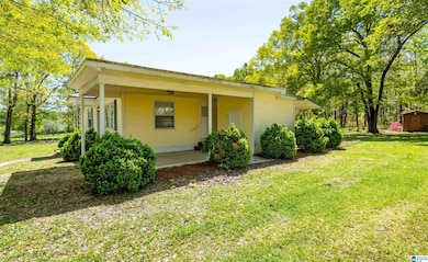 7561 Old Sylacauga Hwy, Childersburg, AL 35044 - photo 4