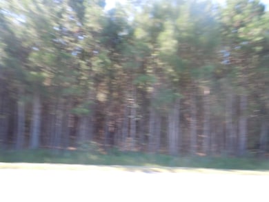 TBD Near 10547 Andrew Jackson Hwy SW, Fair Bluff, NC 28439 - photo 5