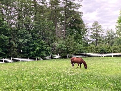 48 Pine Grove Rd, Alstead, NH 03602 - photo 5