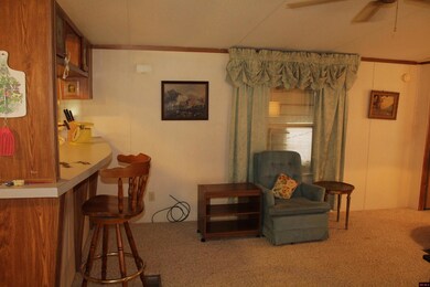 661 Nubbin Ridge Rd unit 31, Lakeview, AR 72642 - photo 4