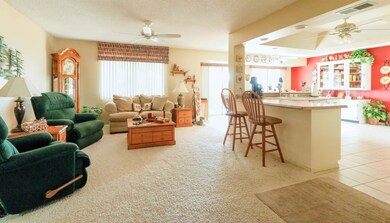 12031 N SUN VALLEY DR Sun City AZ 85351