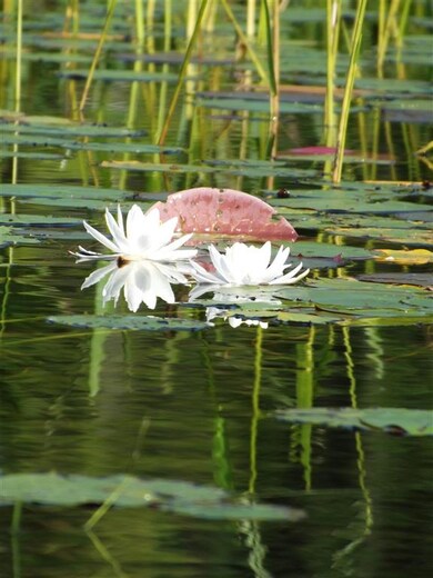00 E S Quaker St, Henniker, NH 03242 - photo 2