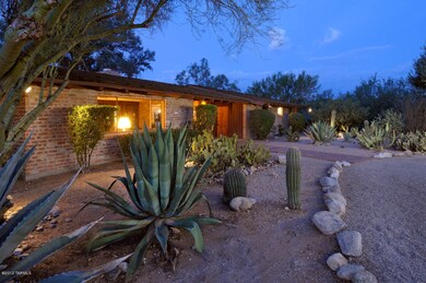 Unique Desert Plantings