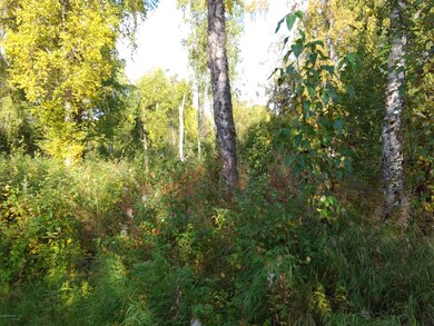 23652 S Wolverine Trail, Trapper Creek, AK 99683 - photo 3