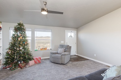 1019 Meadow View Dr, Spring Creek, NV 89815 - photo 6