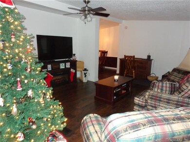 9 Blackberry Ln, Candler, NC 28715 - photo 3