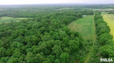 0 S Taylor Rd, Hanna City, IL 61536 - photo 7