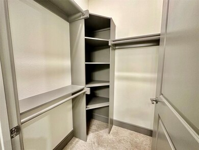 Walk in closet with light colored carpet