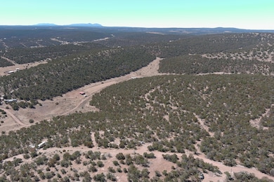 0 Morper Ln unit 1079892, Edgewood, NM 87015 - photo 3