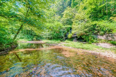 0 Little Swan Creek Rd, Hohenwald, TN 38462 - photo 3