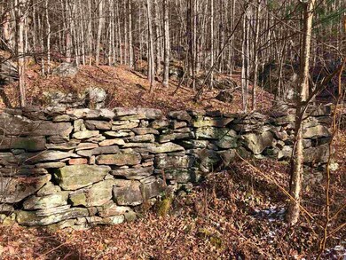 25 Phelps Ln unit Tax map – map 9 parc, Readsboro, VT 05350 - photo 5