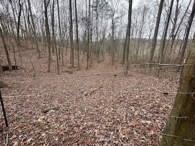 120.62 Browns Hollow Rd, Tracy City, TN 37387 - photo 6