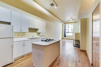 Michigan Avenue Lofts unit 607, Chicago, IL 60605 - photo 4