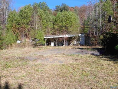 874 Mountain, Baileyton, AL 35019 - photo 2