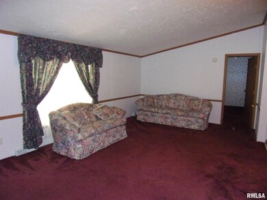 7302 State Route 161 Extension, Iuka, IL 62849 - photo 3