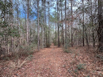 107 Fairview Dr, Petal, MS 39465 - photo 5