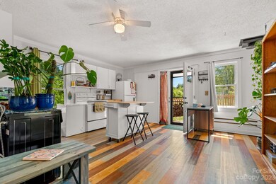 46 Old Bee Tree Rd, Swannanoa, NC 28778 - photo 4