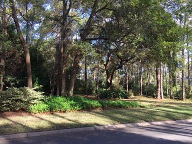 326 Carnoustie, St. Simons Island, GA 31522 - photo 3