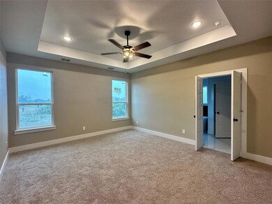 436 Herb Stephens Jr Way, Springtown, TX 76082 - photo 4